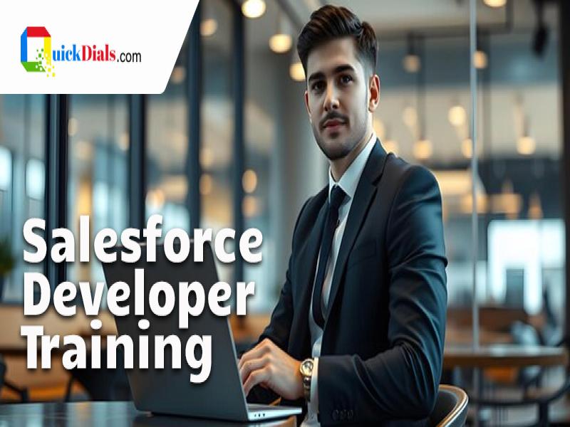 Salesforce Developer